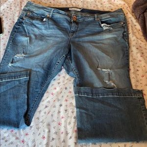 Torrid Bootcut Jean